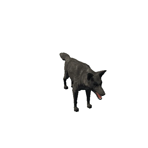 Wolf_SV_RM_MX_LP (dark)